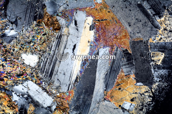 Métagabbro à Hornblende LPA x3,5 - gryphea.com